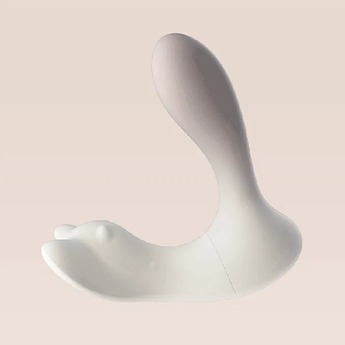 Female Sex Toys Xinghaoya Remote Control Detachable Panty Vibrator for Women