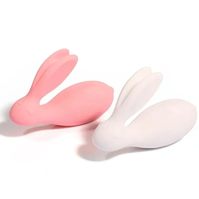 Xinghaoya Female Sex Toys Remote Vibrator with APP