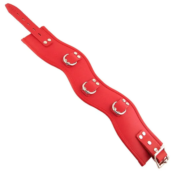 Vibrators Rouge Garments Red Padded Posture Collar Rouge Garments