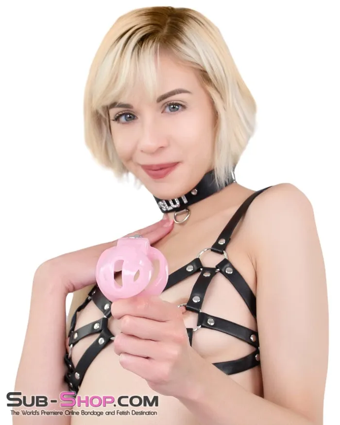 7141M Long Pink Cock Cage with Lead Ring and Medium Cock Cuff Ring Moonwell Male Sex Toys