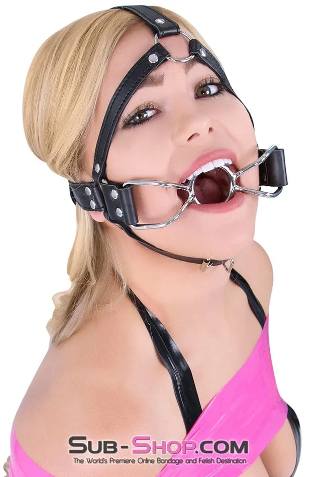 Idea 8997DL French Kiss Trainer Open Mouth Ring Gag MEGA Deal Male Sex Toys